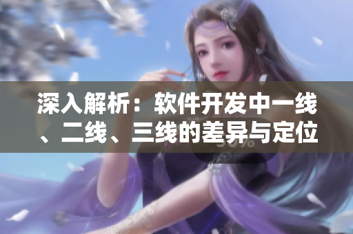 深入解析：软件开发中一线、二线、三线的差异与定位