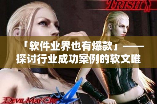 「软件业界也有爆款」——探讨行业成功案例的软文唯美剧！