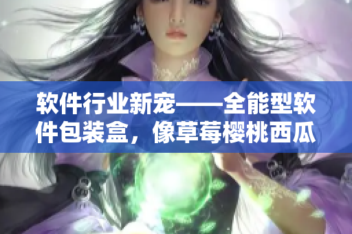 软件行业新宠——全能型软件包装盒，像草莓樱桃西瓜榴莲一样可爱又便捷