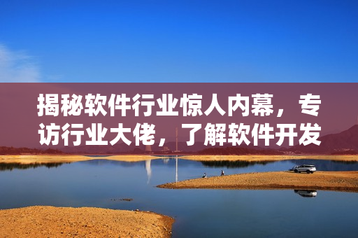 揭秘软件行业惊人内幕，专访行业大佬，了解软件开发秘密