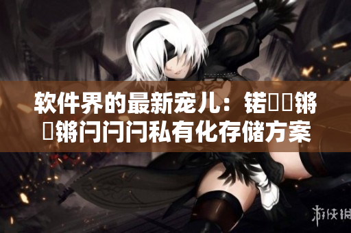 软件界的最新宠儿：锘炾伃锵伃锵闩闩闩私有化存储方案的优越性