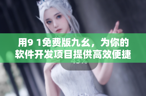 用9 1免费版九幺，为你的软件开发项目提供高效便捷的解决方案