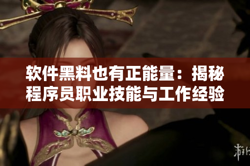 软件黑料也有正能量：揭秘程序员职业技能与工作经验，不打烊的软件开发之路