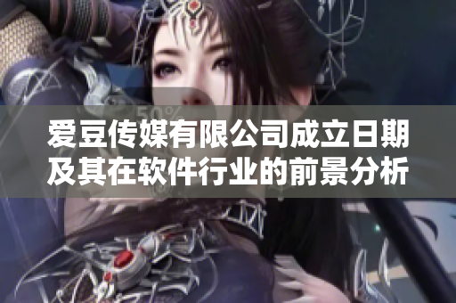 爱豆传媒有限公司成立日期及其在软件行业的前景分析