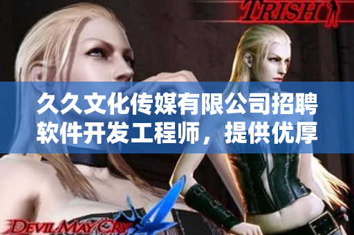 久久文化传媒有限公司招聘软件开发工程师，提供优厚待遇和广阔发展空间！