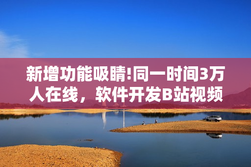 新增功能吸睛!同一时间3万人在线，软件开发B站视频播放效果亮眼