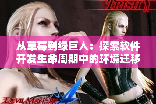 从草莓到绿巨人：探索软件开发生命周期中的环境迁移与优化