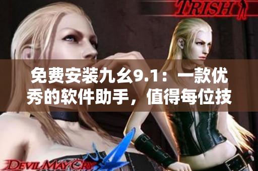 免费安装九幺9.1：一款优秀的软件助手，值得每位技术人员拥有