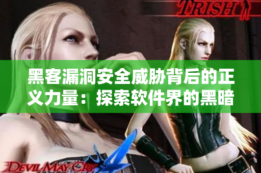 黑客漏洞安全威胁背后的正义力量：探索软件界的黑暗面与防护方案