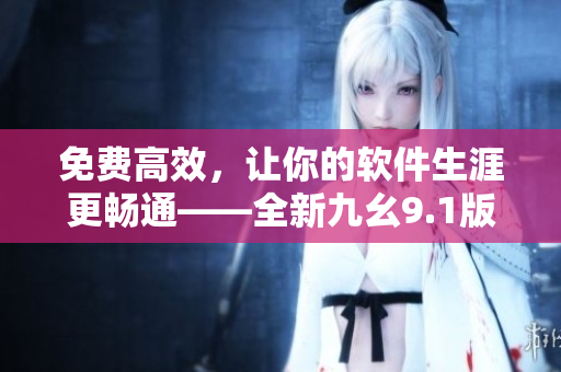 免费高效，让你的软件生涯更畅通——全新九幺9.1版本安装教程