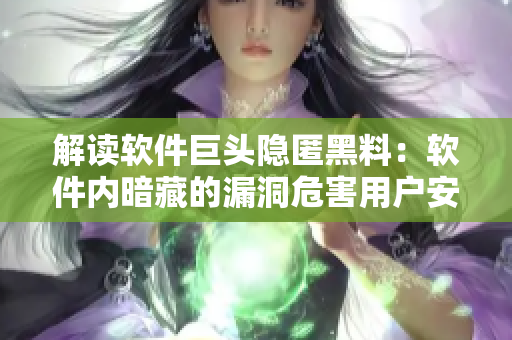 解读软件巨头隐匿黑料：软件内暗藏的漏洞危害用户安全