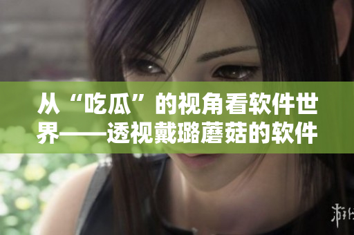 从“吃瓜”的视角看软件世界——透视戴璐蘑菇的软件故事