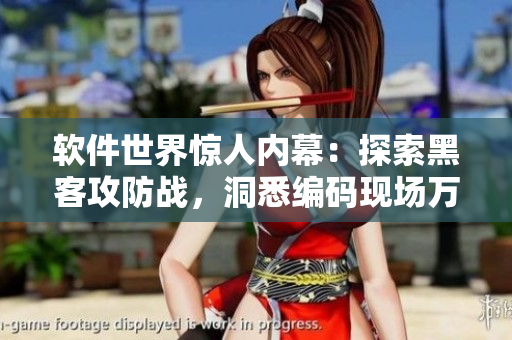 软件世界惊人内幕：探索黑客攻防战，洞悉编码现场万花筒