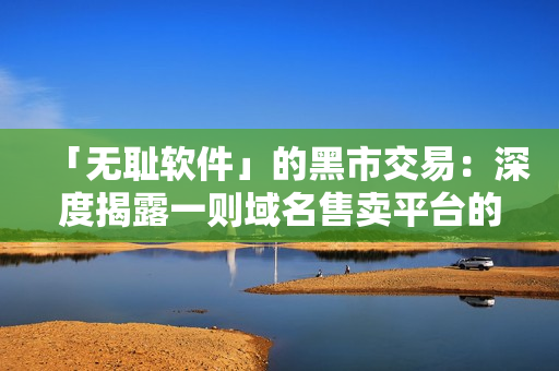 「无耻软件」的黑市交易：深度揭露一则域名售卖平台的神秘内幕