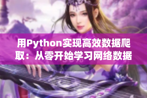 用Python实现高效数据爬取：从零开始学习网络数据采集与处理