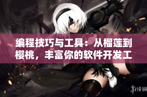 编程技巧与工具：从榴莲到樱桃，丰富你的软件开发工作！