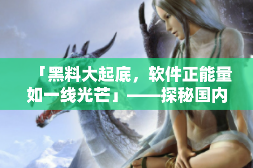 「黑料大起底，软件正能量如一线光芒」——探秘国内软件完整生命周期案例