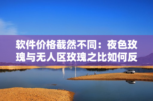 软件价格截然不同：夜色玫瑰与无人区玫瑰之比如何反映软件行业的市场竞争？