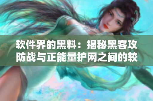 软件界的黑料：揭秘黑客攻防战与正能量护网之间的较量