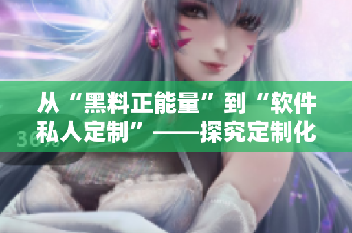 从“黑料正能量”到“软件私人定制”——探究定制化软件的开发优势