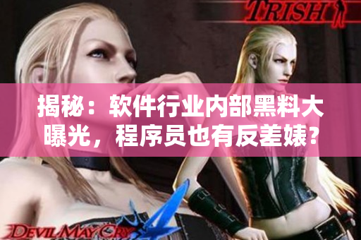 揭秘：软件行业内部黑料大曝光，程序员也有反差婊？！