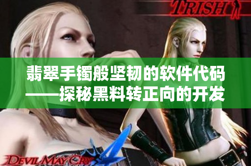 翡翠手镯般坚韧的软件代码——探秘黑料转正向的开发策略
