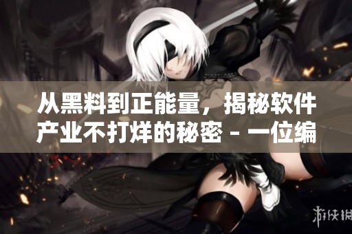 从黑料到正能量，揭秘软件产业不打烊的秘密 – 一位编辑的观察