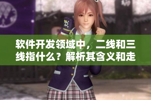 软件开发领域中，二线和三线指什么？解析其含义和走向