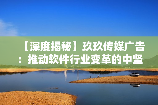 【深度揭秘】玖玖传媒广告：推动软件行业变革的中坚力量！