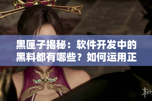 黑匣子揭秘：软件开发中的黑料都有哪些？如何运用正能量驱逐黑暗力量