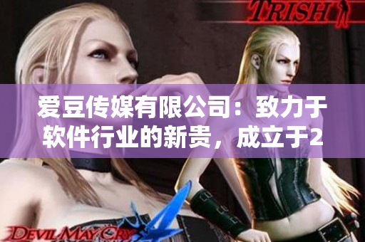 爱豆传媒有限公司：致力于软件行业的新贵，成立于2020年