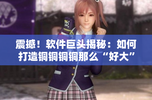 震撼！软件巨头揭秘：如何打造铜铜铜铜那么“好大”的产品