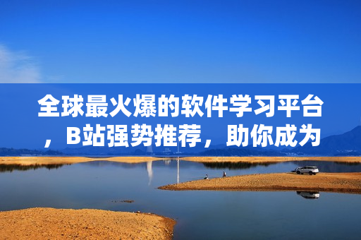全球最火爆的软件学习平台，B站强势推荐，助你成为软件开发高手！