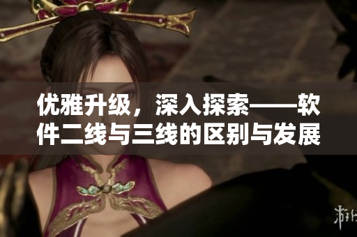 优雅升级，深入探索——软件二线与三线的区别与发展趋势