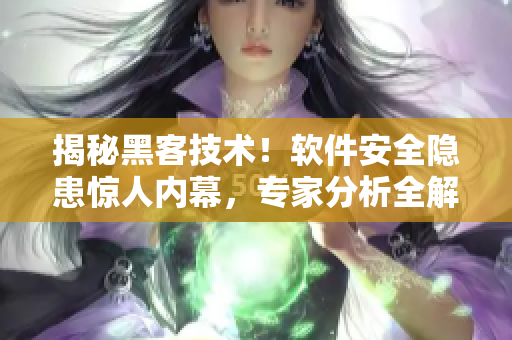 揭秘黑客技术!软件安全隐患惊人内幕,专家分析全解密! 揭秘黑客技术!软件安全隐患惊人内幕,专家分析全解密!