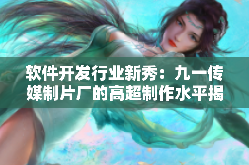 软件开发行业新秀：九一传媒制片厂的高超制作水平揭秘