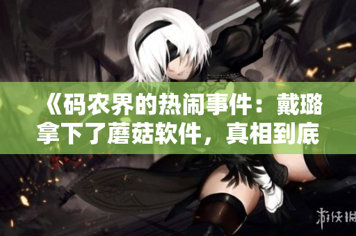 《码农界的热闹事件：戴璐拿下了蘑菇软件，真相到底是什么？》