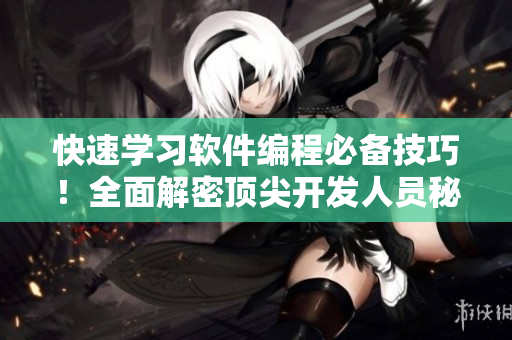 快速学习软件编程必备技巧！全面解密顶尖开发人员秘籍！