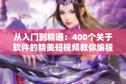 从入门到精通：400个关于软件的精美短视频教你编程技能