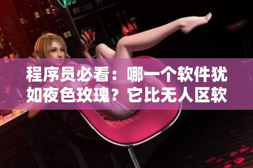 程序员必看：哪一个软件犹如夜色玫瑰？它比无人区软件贵多少？