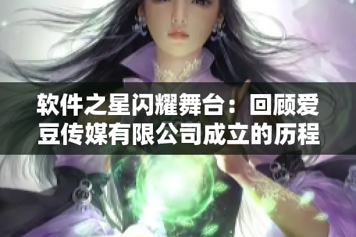 软件之星闪耀舞台：回顾爱豆传媒有限公司成立的历程