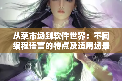 从菜市场到软件世界：不同编程语言的特点及适用场景