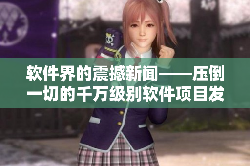 软件界的震撼新闻——压倒一切的千万级别软件项目发布