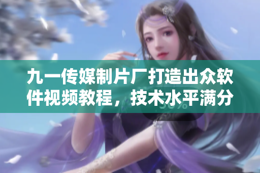 九一传媒制片厂打造出众软件视频教程，技术水平满分！