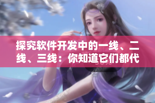 探究软件开发中的一线、二线、三线：你知道它们都代表着什么吗？