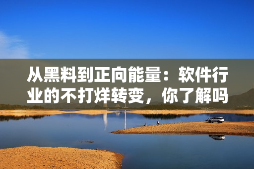 从黑料到正向能量：软件行业的不打烊转变，你了解吗？