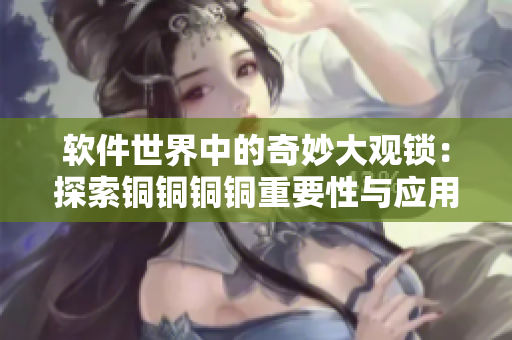 软件世界中的奇妙大观锁：探索铜铜铜铜重要性与应用