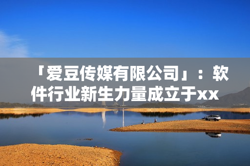 「爱豆传媒有限公司」：软件行业新生力量成立于xxx年