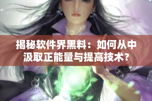 揭秘软件界黑料：如何从中汲取正能量与提高技术？