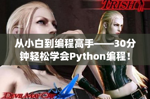 从小白到编程高手——30分钟轻松学会Python编程！